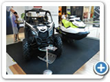 Eventos_diurnos_sombh (63)